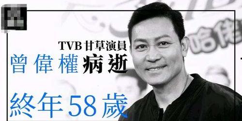 老汪爆料杨振华视频全集,老汪爆料视频全集深度解析